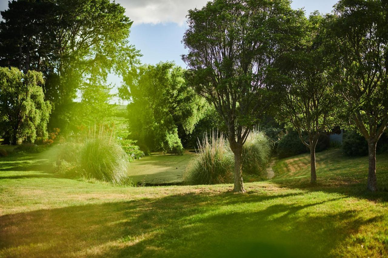 Parehua Resort Martinborough Chambre photo