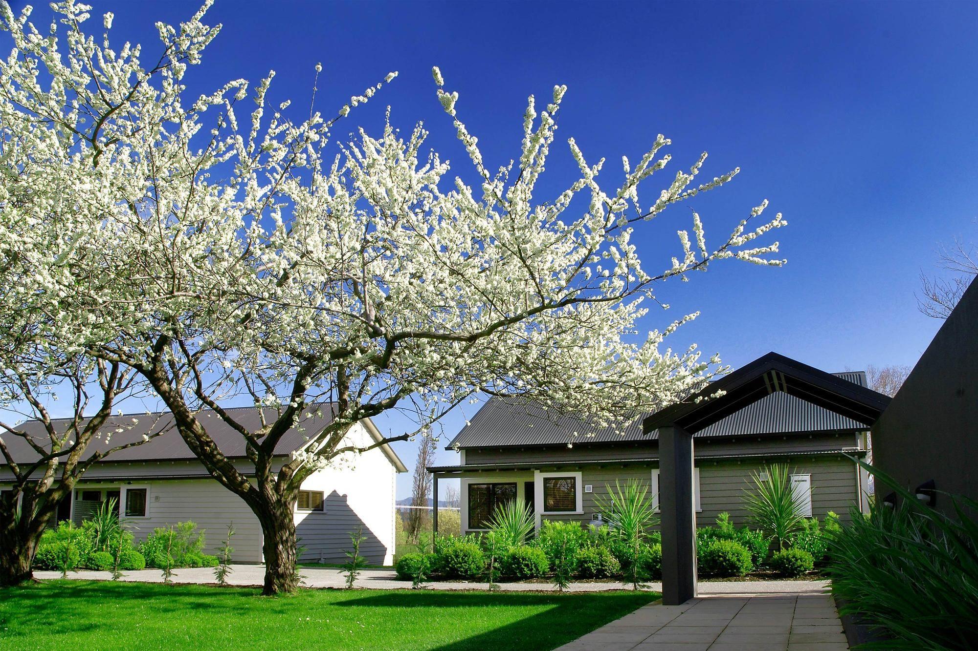 Parehua Resort Martinborough Extérieur photo Residential area in the town